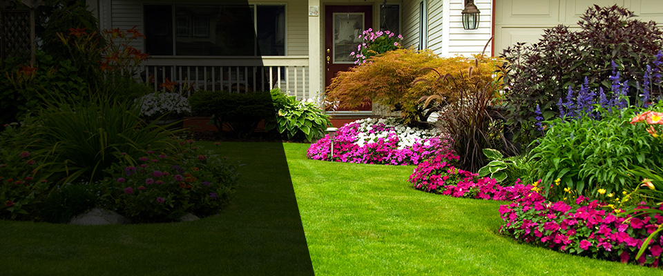 Hartsdale Landscapers