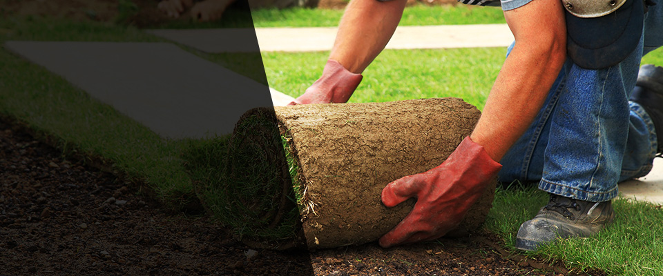 Hartsdale Landscapers